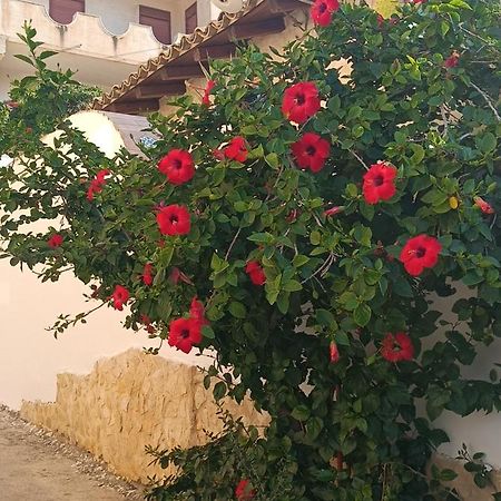Al Faro Bed and Breakfast Realmonte Exteriör bild