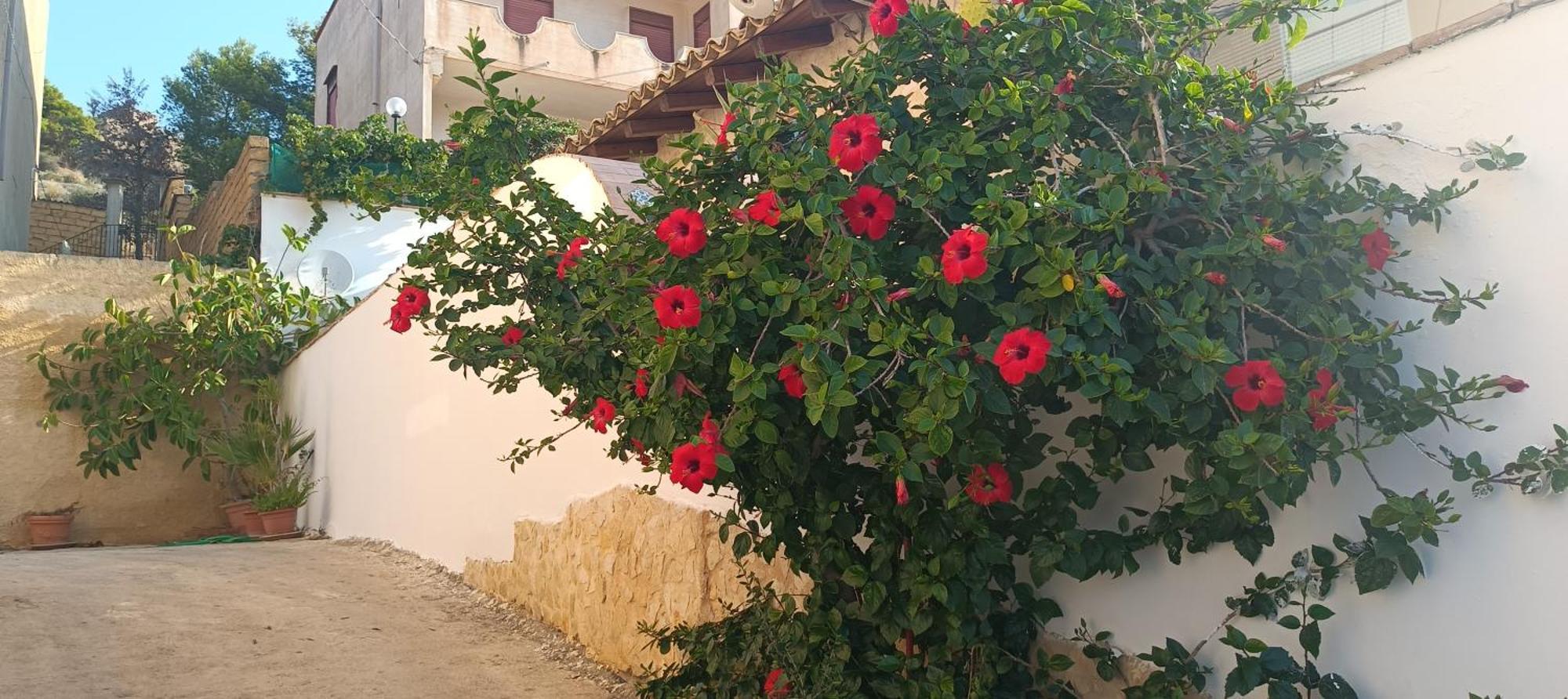 Al Faro Bed and Breakfast Realmonte Exteriör bild